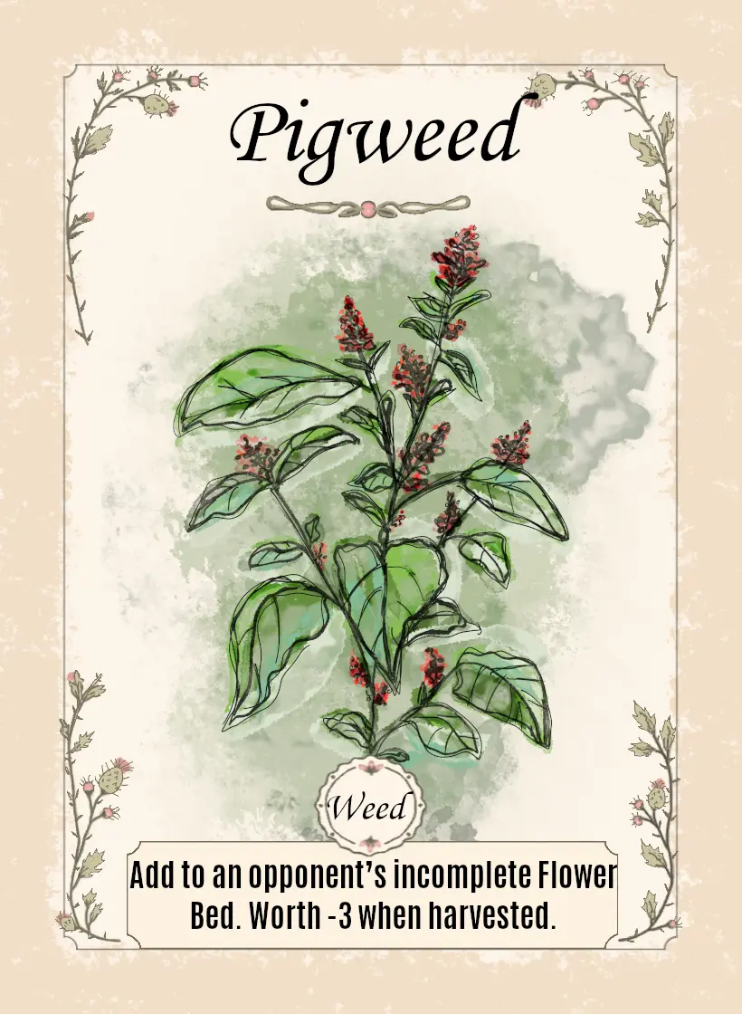 Pigweed card